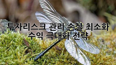 투자리스크 관리: 손실 최소화, 수익 극대화 전략