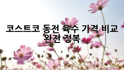 코스트코 동전 육수 가격 비교 완전 정복!