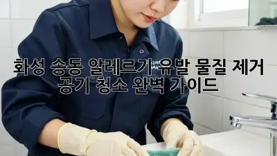 화성 송동 알레르기 유발 물질 제거, 공기 청소 완벽 가이드