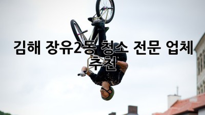 김해 장유2동 청소 전문 업체 추천
