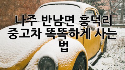 나주 반남면 흥덕리 중고차, 똑똑하게 사는 법! 🚗✨